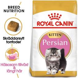 Royal Canin Kitten < 12 Persian